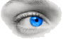 HoodSoftware